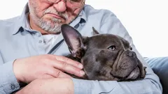 Klidní a oddaní: 5 psích plemen, která hřejí u srdce seniory