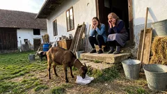 Krátká historka: Jedna dětská otázka u babičky mi dodnes nedá spát