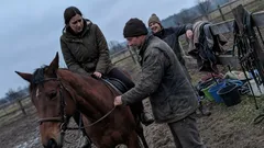 Krátká historka: V mrazivé stáji mi jedna věta změnila pohled na randění