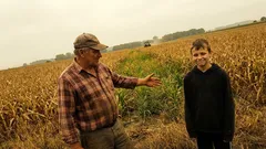 Životní historka: Táta na poli pronesl jednu větu a já ho uviděl jinak