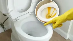 Vodní kámen v záchodě zmizí beze stopy: Hoďte do mísy tabletu, kterou má doma každý